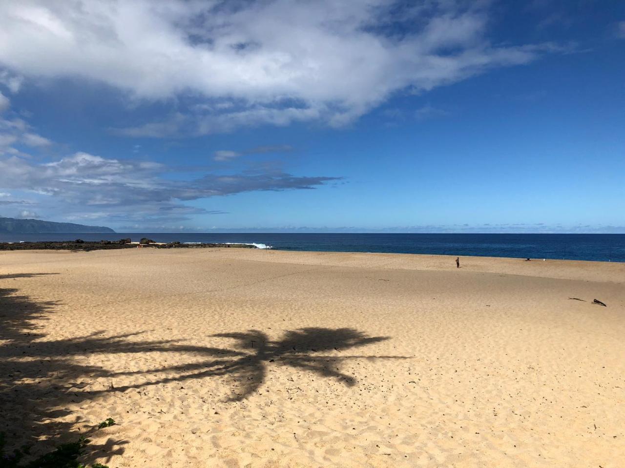 האלאיווה Beach Studio By Shark'S Cove מראה חיצוני תמונה